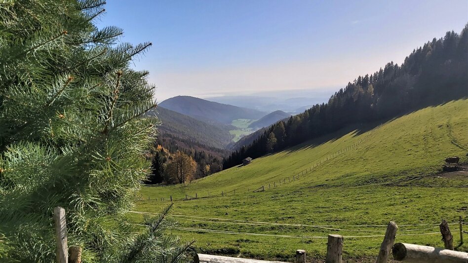 Bike Riding Garten Eden-Tour, St. Kathrein am Offenegg - Touren-Impression #2.10 | © Oststeiermark Tourismus