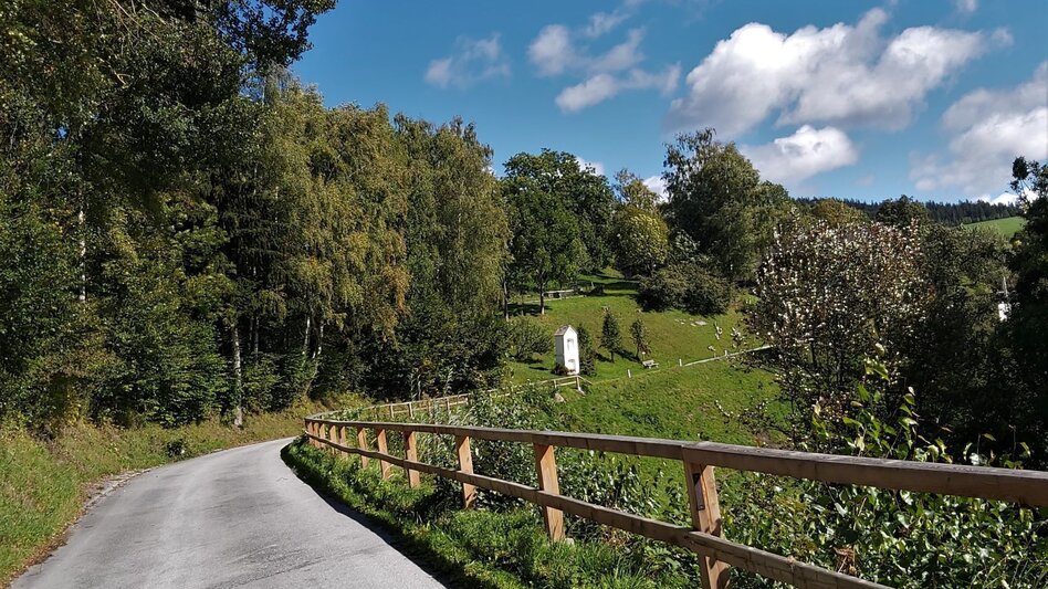 Bike Riding Garten Eden-Tour, St. Kathrein am Offenegg - Touren-Impression #2.14 | © Oststeiermark Tourismus