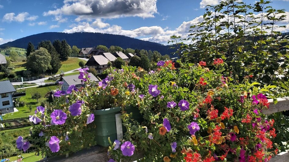 Bike Riding Garten Eden-Tour, St. Kathrein am Offenegg - Touren-Impression #2.15 | © Oststeiermark Tourismus