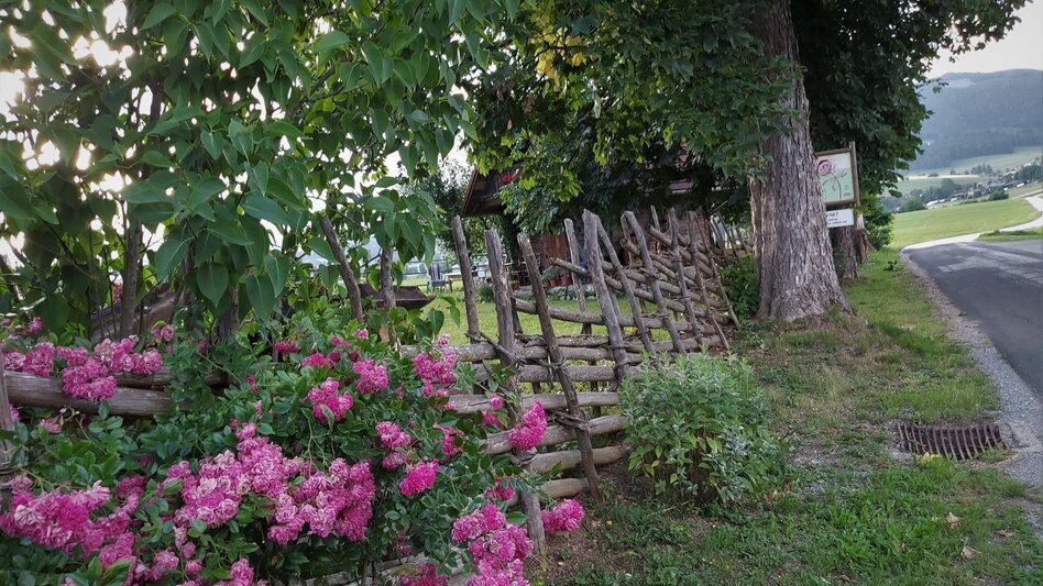 Radfahren Tischlein-Deck-Dich-Radtour, Passail - Touren-Impression #2.8 | © TVB Oststeiermark