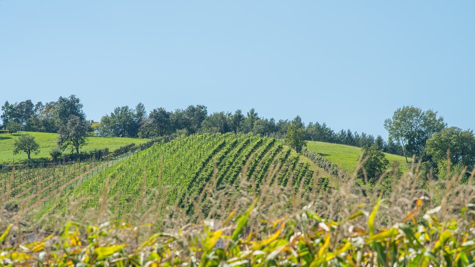 Bike Riding Safental cycle tour to Bad Waltersdorf, Pöllau - Touren-Impression #2.2 | © Oststeiermark Tourismus