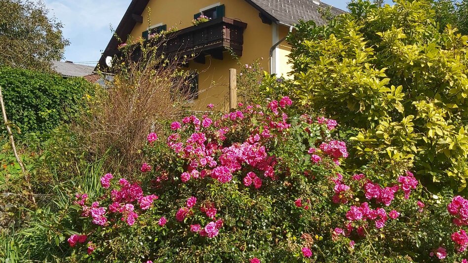 Bike Riding Safental cycle tour to Bad Waltersdorf, Pöllau - Touren-Impression #2.3 | © Oststeiermark Tourismus