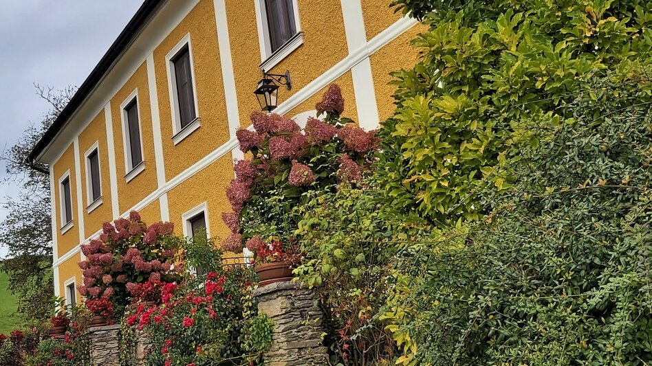 Bike Riding Safental cycle tour to Bad Waltersdorf, Pöllau - Touren-Impression #2.4 | © Oststeiermark Tourismus