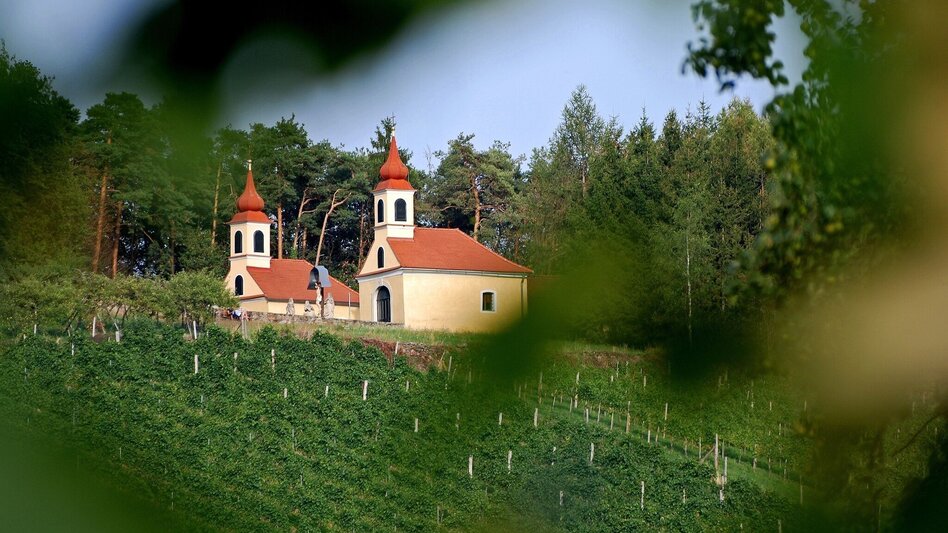 Bike Riding Vineyard round HB7, St. Johann bei Herberstein - Touren-Impression #2.1 | © Oststeiermark Tourismus