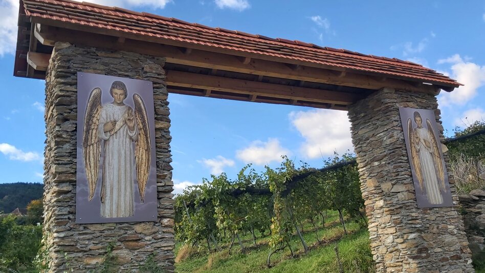 Bike Riding Vineyard round HB7, St. Johann bei Herberstein - Touren-Impression #2.4 | © Oststeiermark Tourismus