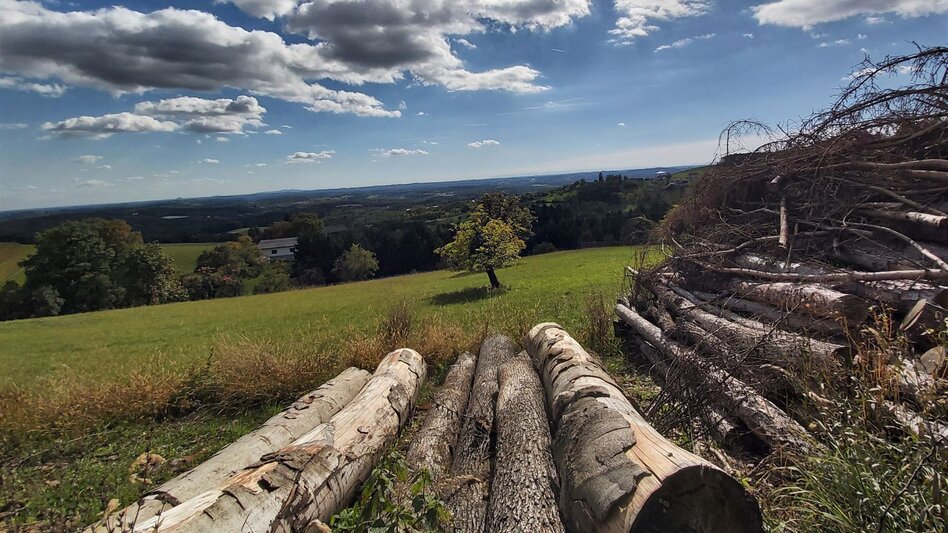 Bike Riding Vineyard round HB7, St. Johann bei Herberstein - Touren-Impression #2.6 | © Oststeiermark Tourismus