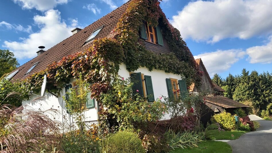 Bike Riding Vineyard round HB7, St. Johann bei Herberstein - Touren-Impression #2.7 | © Oststeiermark Tourismus
