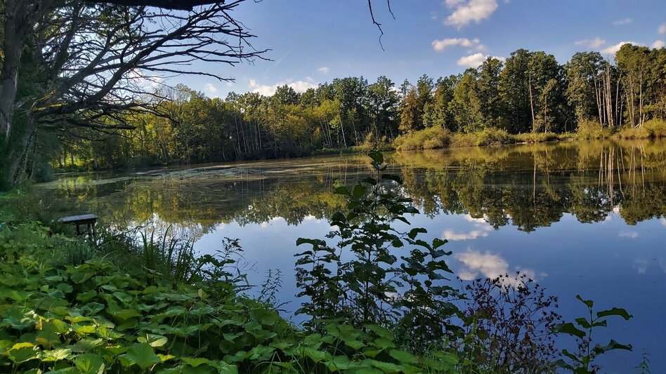 Bike Riding Hofkirchen- Bike Tour HB8 - Touren-Impression #2.4 | © Oststeiermark Tourismus