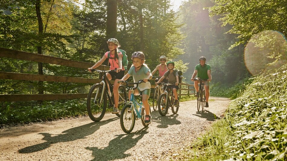Radfahren Feistritztalradweg R8, südlicher Abschnitt - Touren-Impression #2.1 | © TV Oststeiermark