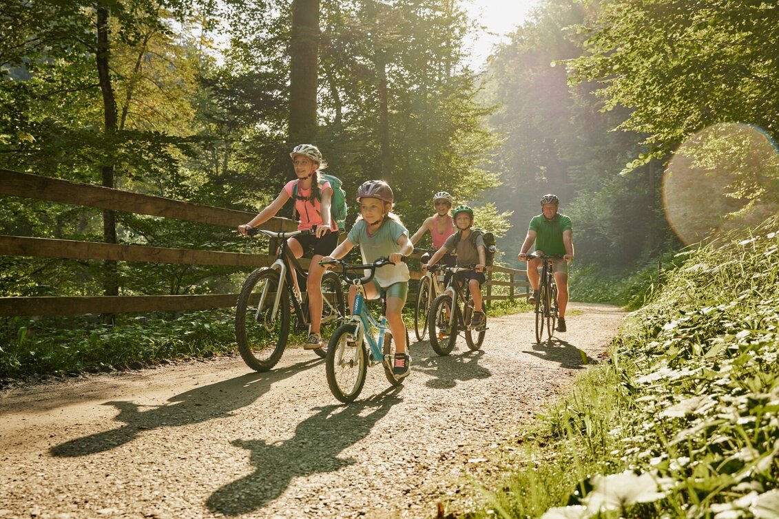 Radfahren Feistritztalradweg R8, südlicher Abschnitt - Touren-Impression #1 | © TV Oststeiermark