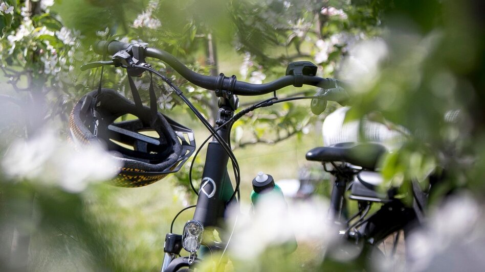 Bike Riding Pond tour HB2, Stubenberg am See - Touren-Impression #2.2 | © Steiermark Tourismus