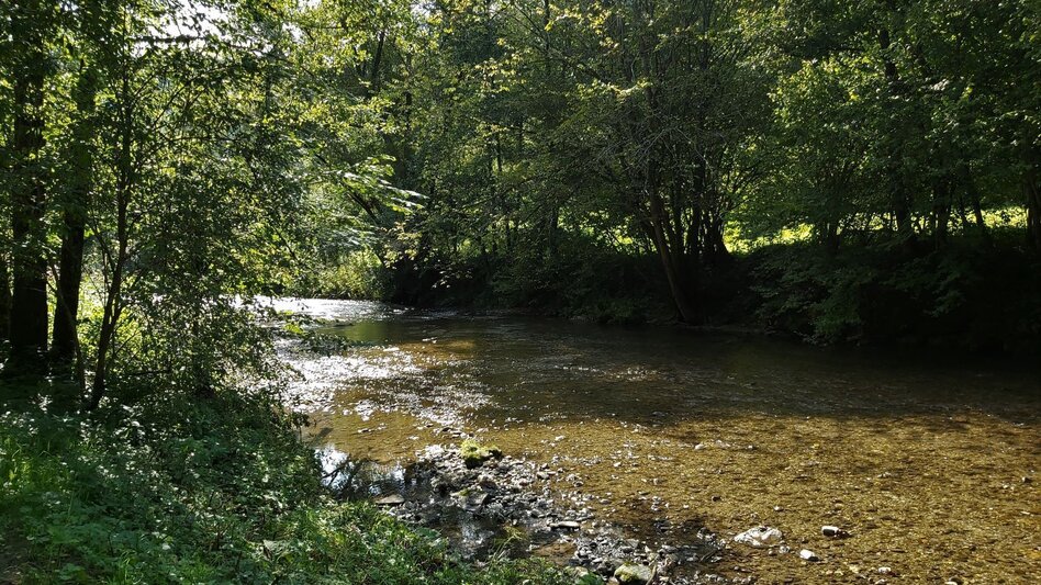 Bike Riding FunErgy tour, cultural city tour, Weiz - Gleisdorf - Touren-Impression #2.3 | © Oststeiermark Tourismus