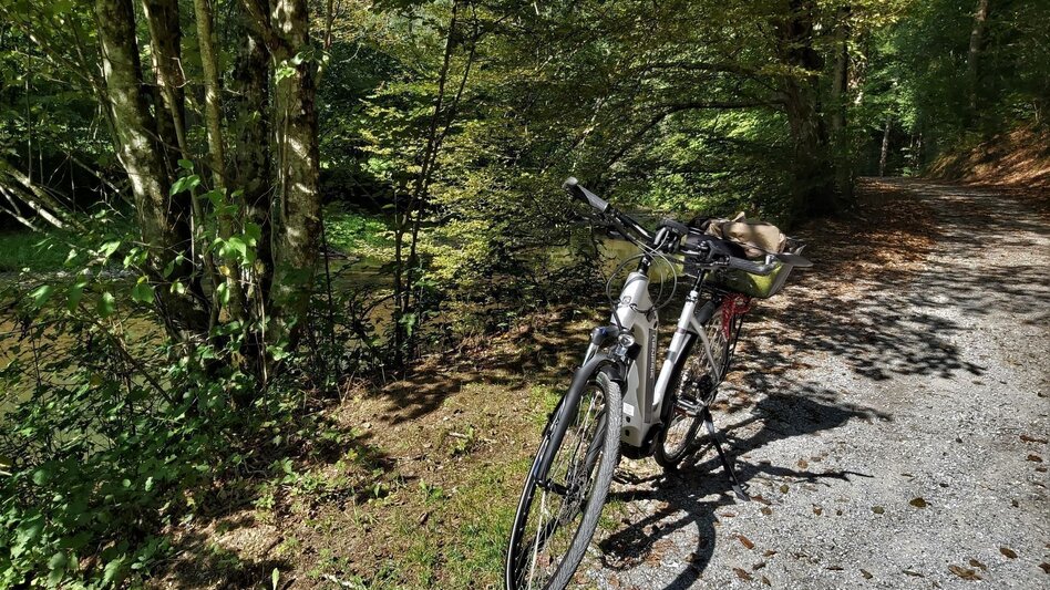 Bike Riding FunErgy tour, cultural city tour, Weiz - Gleisdorf - Touren-Impression #2.4 | © Oststeiermark Tourismus