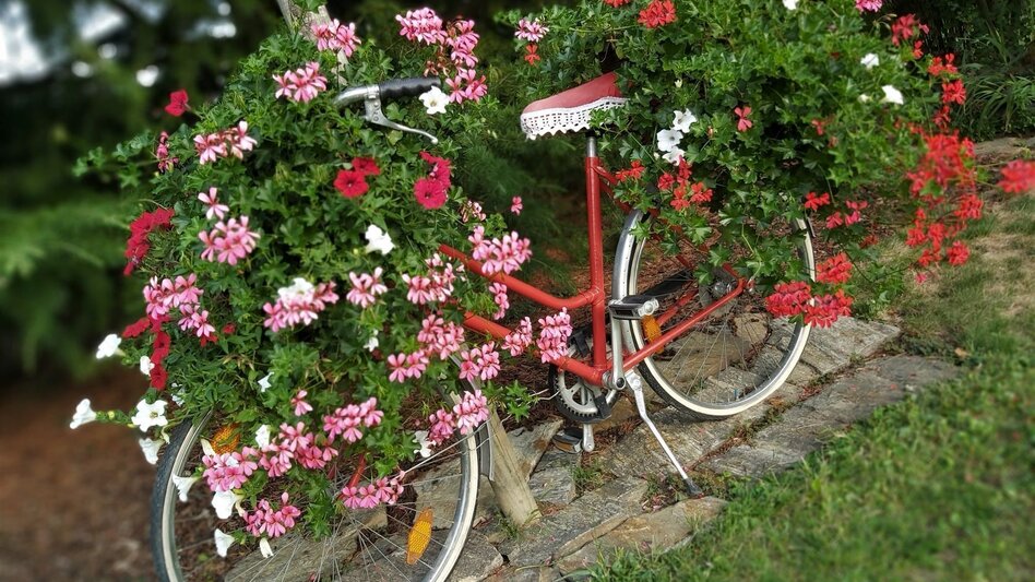 Bike Riding FunErgy tour, cultural city tour, Weiz - Gleisdorf - Touren-Impression #2.10 | © Oststeiermark Tourismus