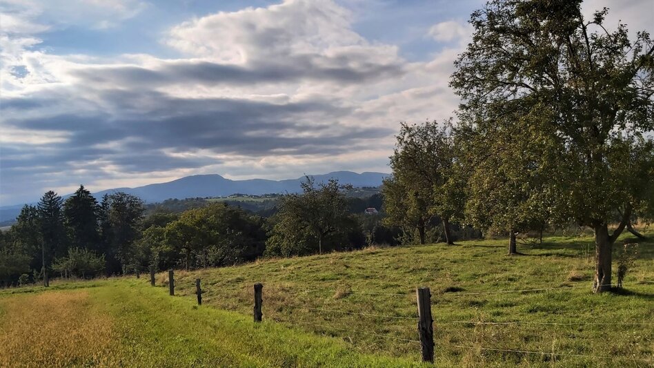 Bike Riding FunErgy tour, cultural city tour, Weiz - Gleisdorf - Touren-Impression #2.11 | © Oststeiermark Tourismus