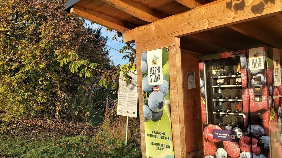 Bike Riding FunErgy tour, cultural city tour, Weiz - Gleisdorf - Touren-Impression #2.14 | © Oststeiermark Tourismus