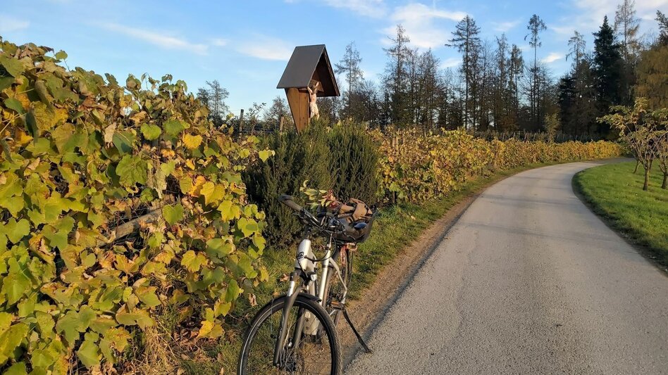 Bike Riding FunErgy tour, cultural city tour, Weiz - Gleisdorf - Touren-Impression #2.16 | © Oststeiermark Tourismus