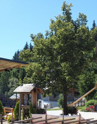 Huab'n auf der Brandlucken mit Freiluftbühne | Christine Pollhammer | © Oststeiermark Tourismus