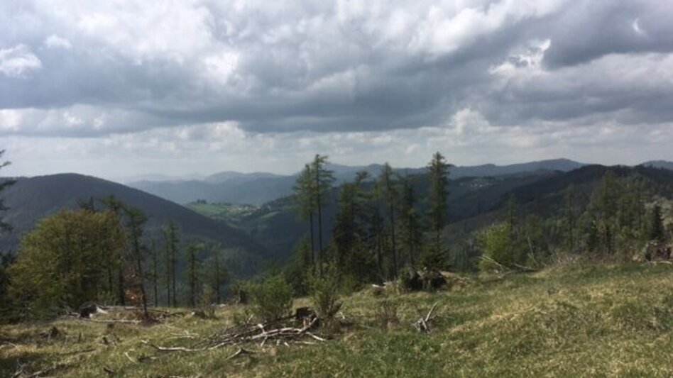 Hiking route Brandlucken-Anger over the Zetz - Touren-Impression #2.5 | © Oststeiermark Tourismus