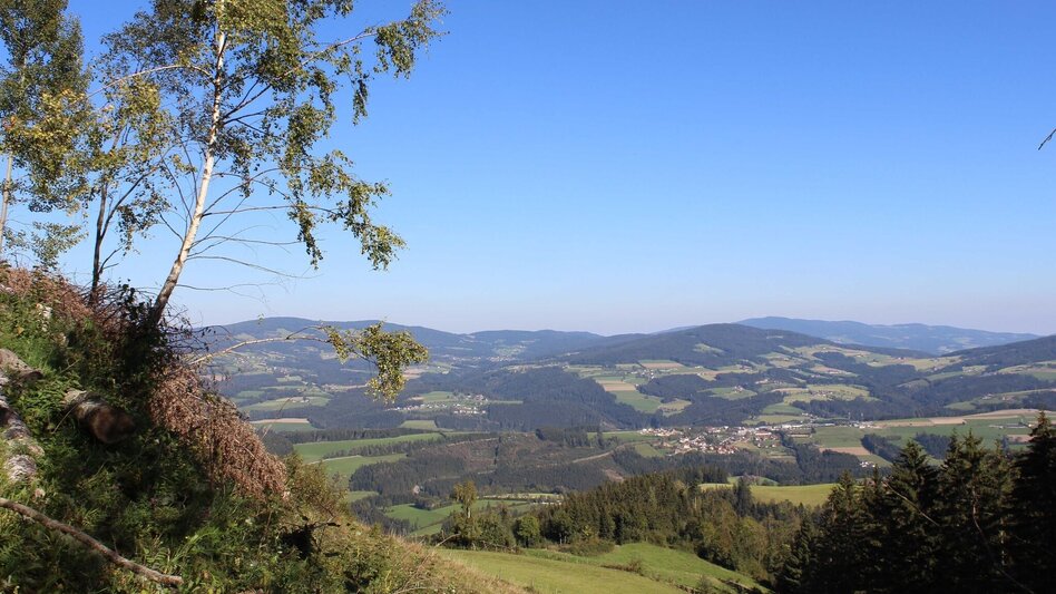 Wanderung Königskogel - Rundwanderweg - Touren-Impression #2.2 | © Oststeiermark Tourismus
