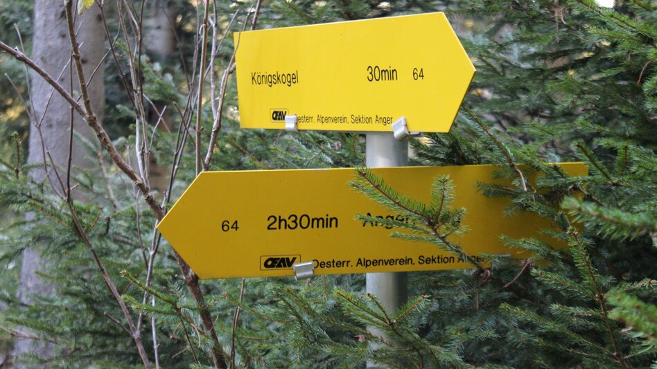 Wanderung Königskogel - Rundwanderweg - Touren-Impression #2.3 | © Oststeiermark Tourismus