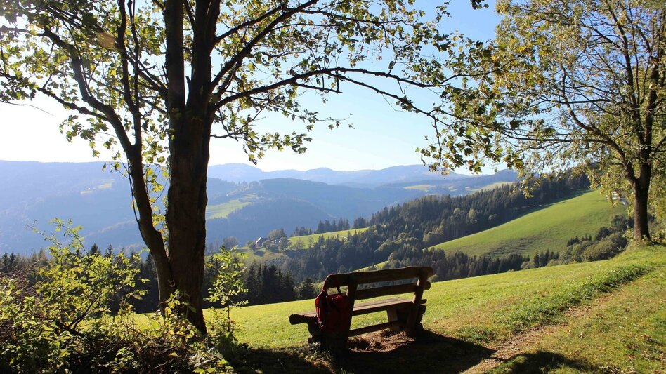 Wanderung Königskogel - Rundwanderweg - Touren-Impression #2.7 | © Oststeiermark Tourismus