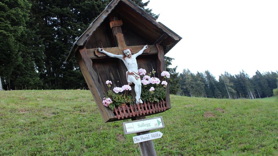Wanderung Königskogel - Rundwanderweg - Touren-Impression #2.9 | © Oststeiermark Tourismus