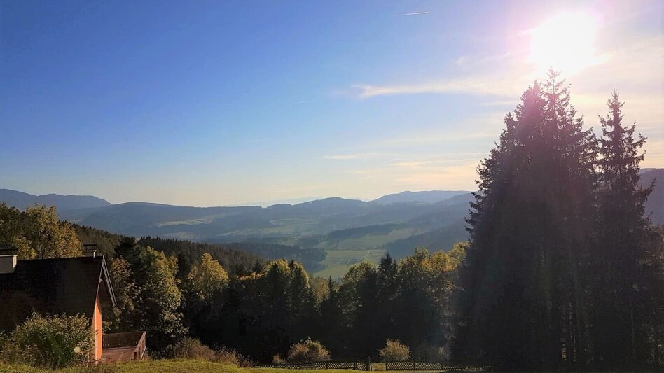 Wanderung Königskogel - Rundwanderweg - Touren-Impression #2.10 | © Oststeiermark Tourismus