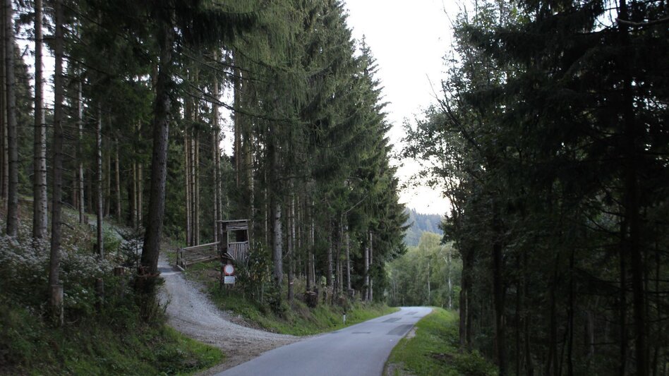 Wanderung Königskogel - Rundwanderweg - Touren-Impression #2.11 | © Oststeiermark Tourismus