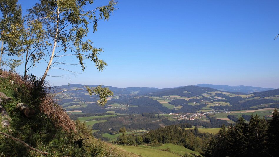 Wanderung Königskogel - Rundwanderweg - Touren-Impression #2.12 | © Oststeiermark Tourismus