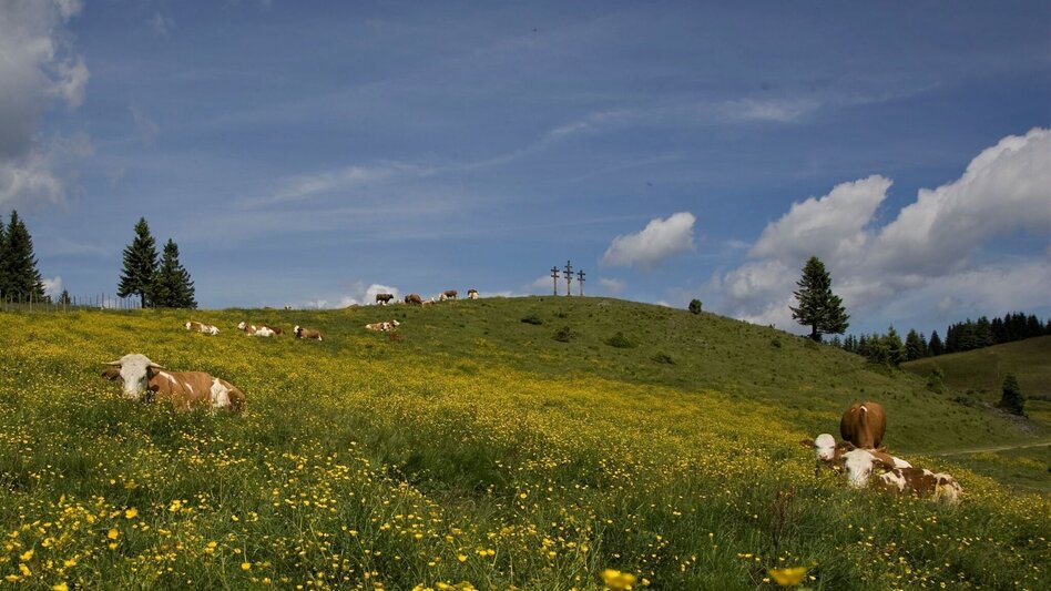 Hiking route Big alpine hike of Passail - Touren-Impression #2.1 | © Oststeiermark Tourismus