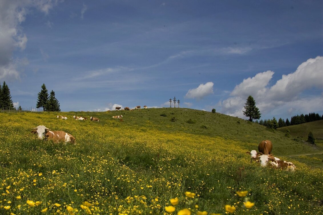 Hiking route Big alpine hike of Passail - Touren-Impression #1 | © Oststeiermark Tourismus