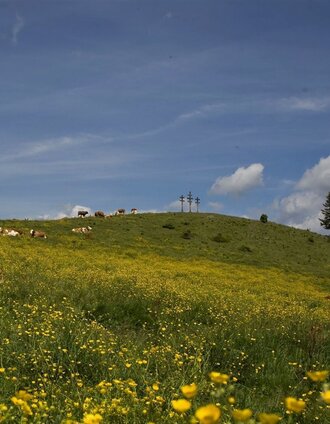 Wetterkreuze auf der Bründlalm | Moritz | © Oststeiermark Tourismus