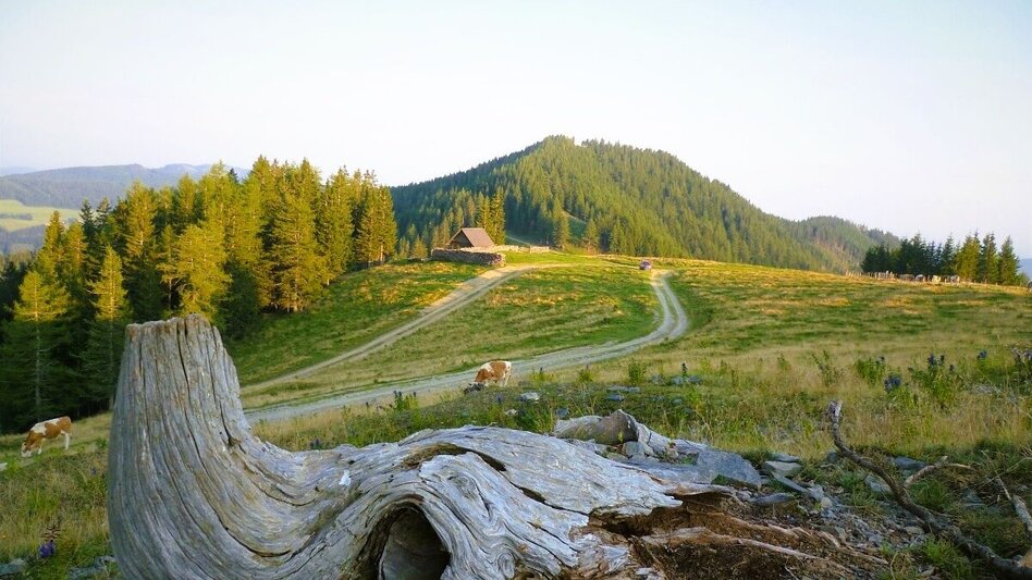 Hiking route Big alpine hike of Passail - Touren-Impression #2.8 | © Oststeiermark Tourismus