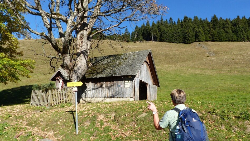 Hiking route Mountain Farmers' Round Gasen - Touren-Impression #2.3 | © Oststeiermark Tourismus