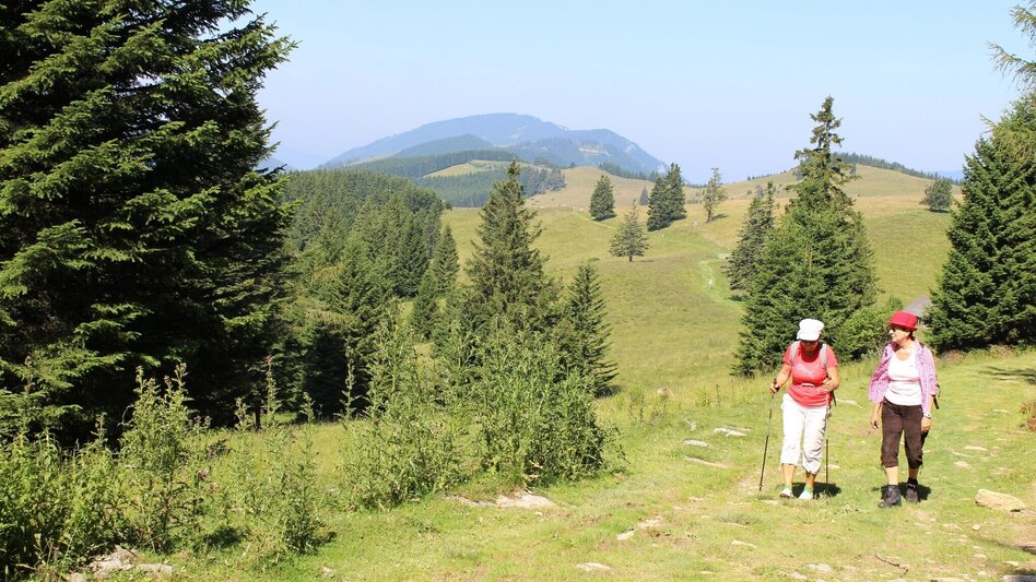 Hiking route Mountain Farmers' Round Gasen - Touren-Impression #2.7 | © Oststeiermark Tourismus