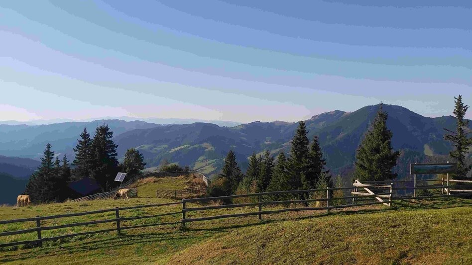 Hiking route Heulantsch-Round, Teichalm - Touren-Impression #2.13 | © Oststeiermark Tourismus