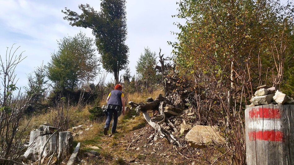 Hiking route Heulantsch-Round, Teichalm - Touren-Impression #2.15 | © Oststeiermark Tourismus