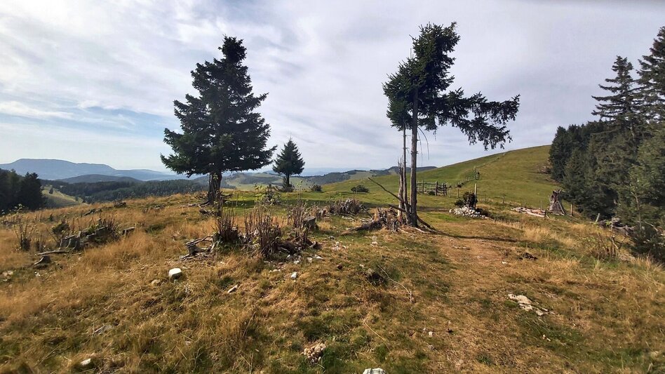 Hiking route Heulantsch-Round, Teichalm - Touren-Impression #2.14 | © Oststeiermark Tourismus