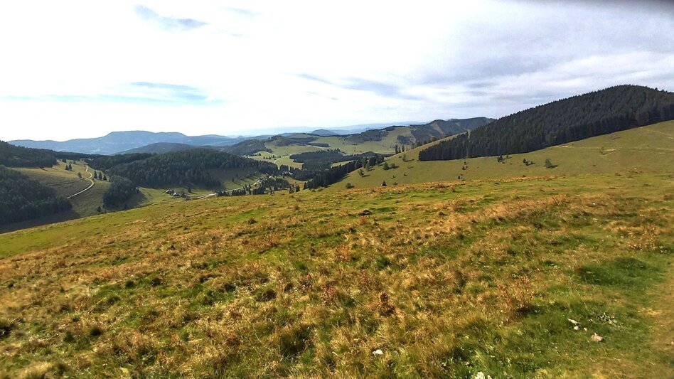 Hiking route Heulantsch-Round, Teichalm - Touren-Impression #2.16 | © Oststeiermark Tourismus