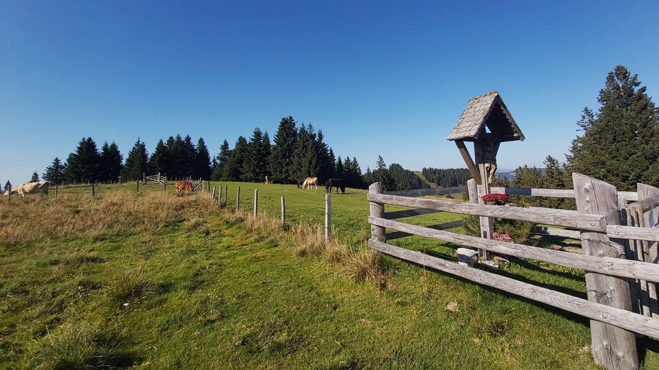 Hiking route Heulantsch-Round, Teichalm - Touren-Impression #2.8 | © Oststeiermark Tourismus