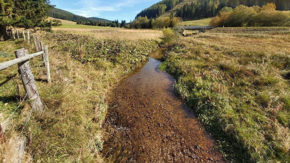 Hiking route Heulantsch-Round, Teichalm - Touren-Impression #2.5 | © Oststeiermark Tourismus
