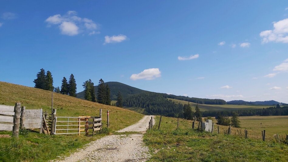 Hiking route Heulantsch-Round, Teichalm - Touren-Impression #2.4 | © Oststeiermark Tourismus