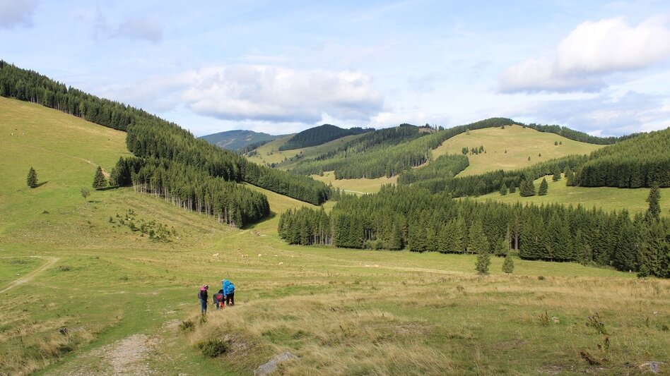 Wanderung Osser-Runde, Teichalm - Touren-Impression #2.10 | © Oststeiermark Tourismus