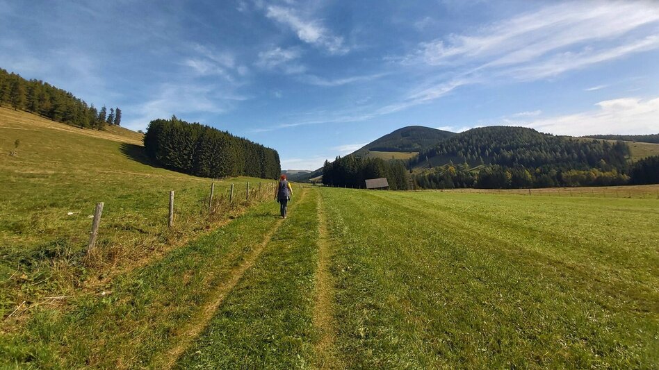 Wanderung Osser-Runde, Teichalm - Touren-Impression #2.1 | © Oststeiermark Tourismus