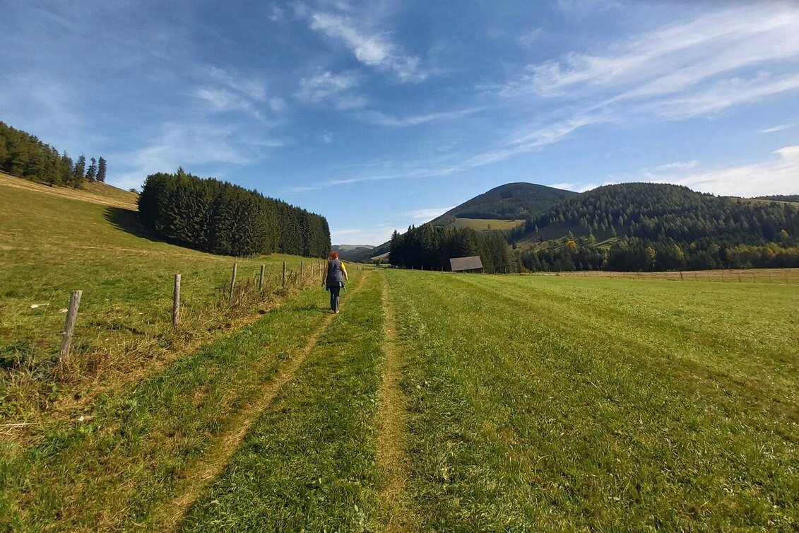 Wanderung Osser-Runde, Teichalm - Touren-Impression #1 | © Oststeiermark Tourismus