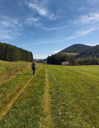 Teichalm mit Osser_Naturpark Almenland_Oststeiermark | Christine Pollhammer | © Oststeiermark Tourismus