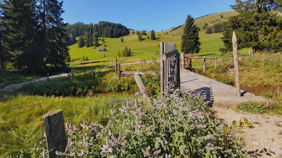 Wanderung Osser-Runde, Teichalm - Touren-Impression #2.13 | © Oststeiermark Tourismus