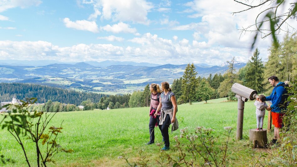 Hiking route Bärenrunde St. Kathrein - Brandlucken - Touren-Impression #2.1 | © Oststeiermark Tourismus