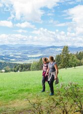 Wanderung_Bärenrunde_Almenland_Foto Rene Strasser (4)_bearbeitet_mittel.jpg | © Oststeiermark Tourismus | Rene Strasser | © Oststeiermark Tourismus